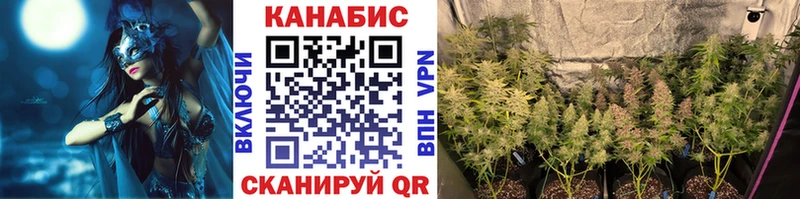 Конопля тримм мориарти какой сайт Шарья купить